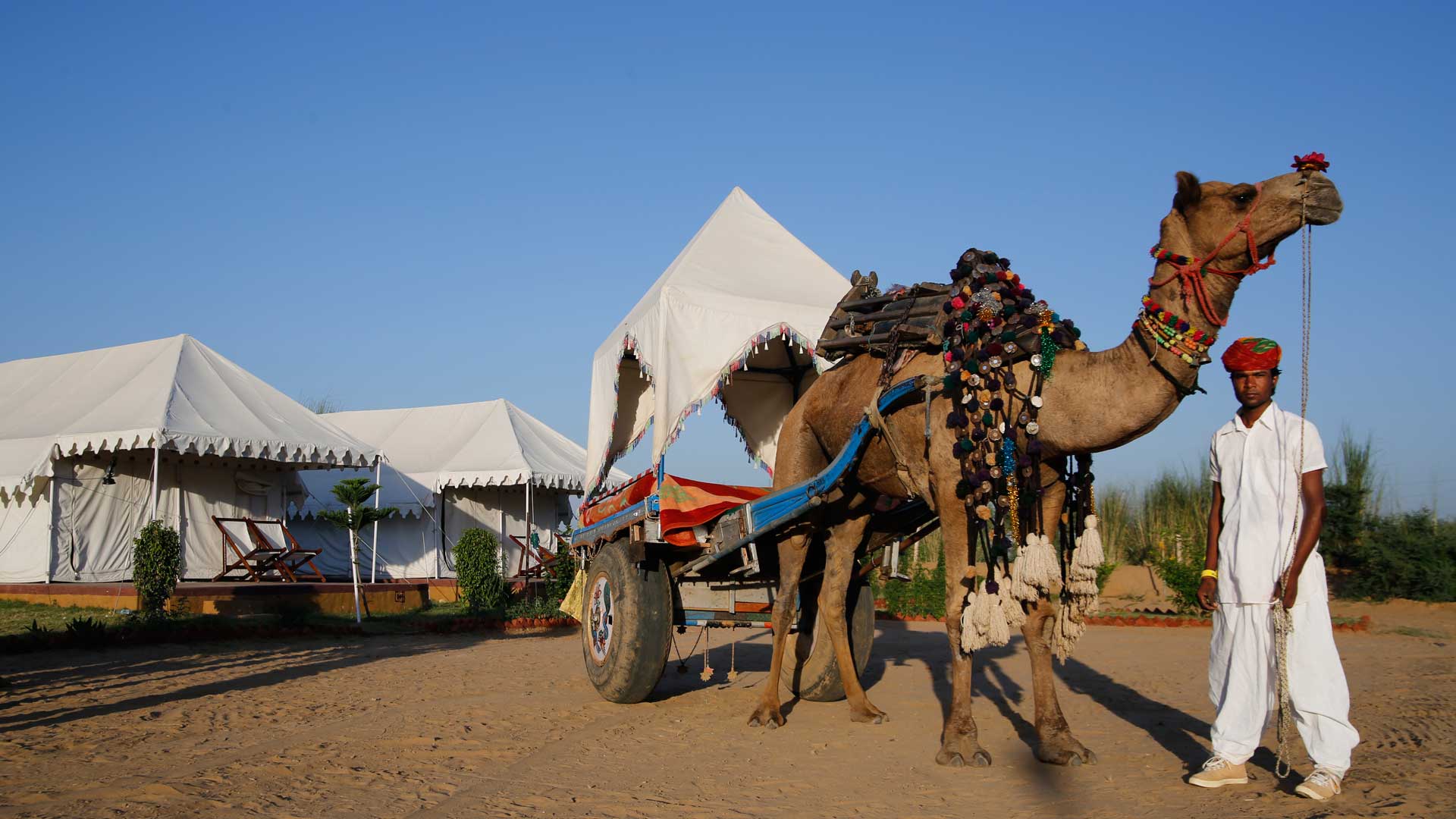 Incredible Rajasthan Tour - Image 4