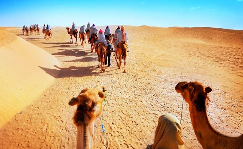 Rajasthan scenery 1