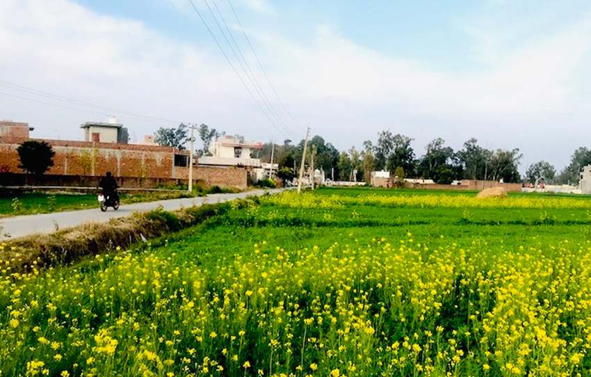 Rural Punjab & Cultural Immersion - Image 5