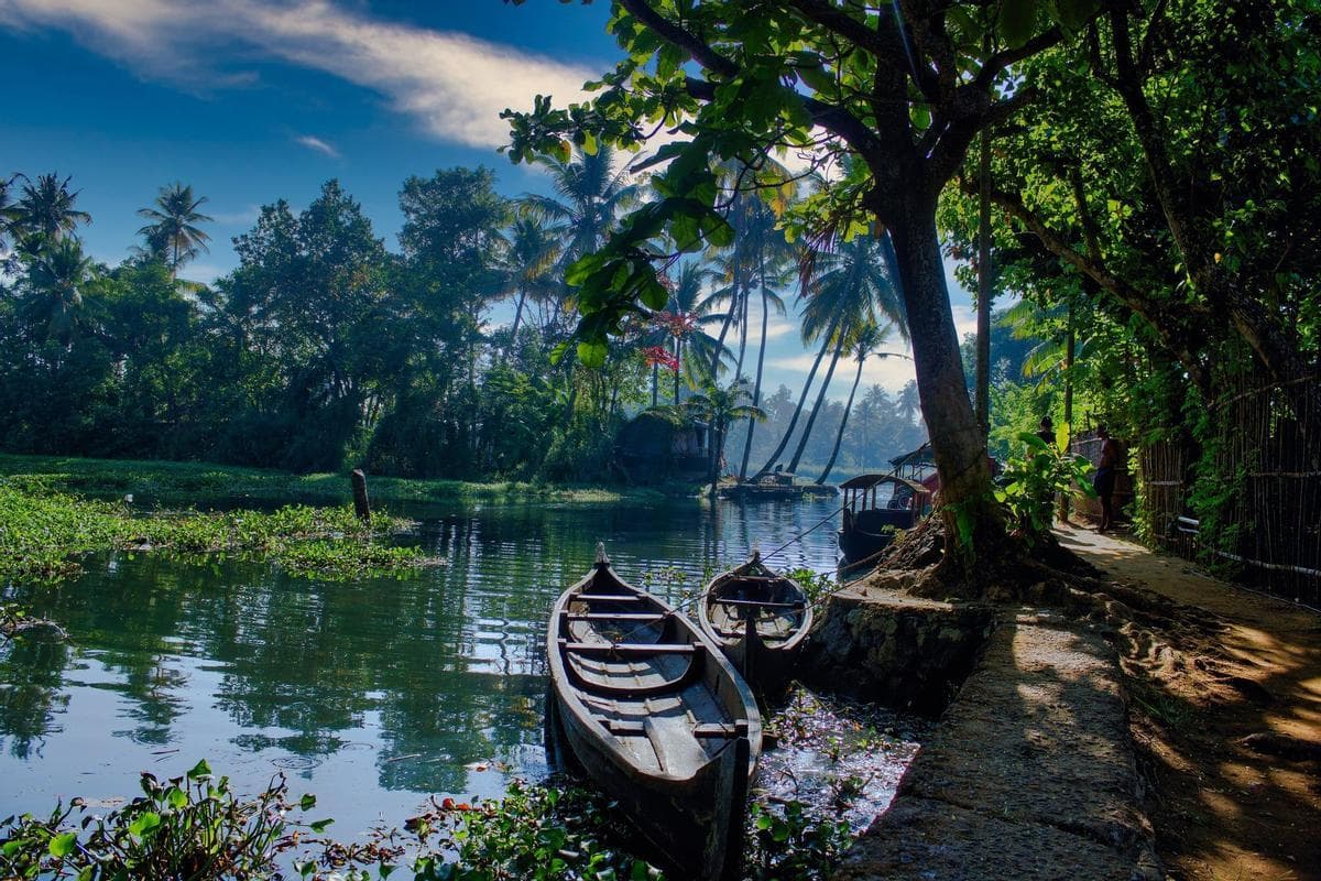 Kerala Short Escape (Kochi – Munnar – Alleppey)