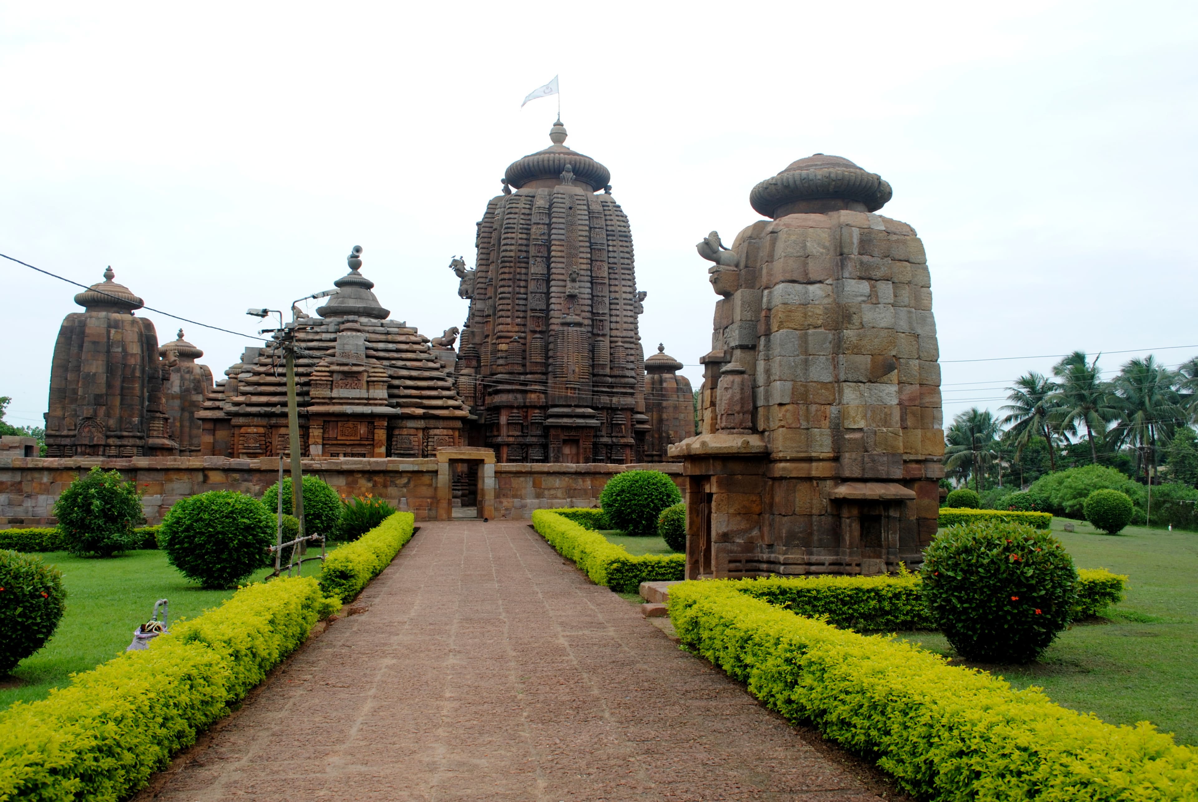 Tribal Odisha & Simlipal Safari
